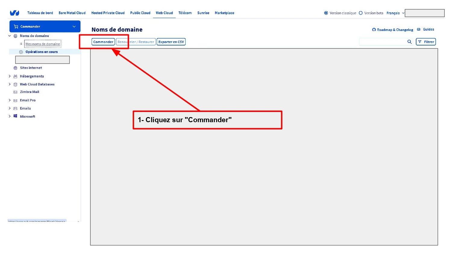 Acheter son nom de domaine en .notaire.fr (4)_page-0006