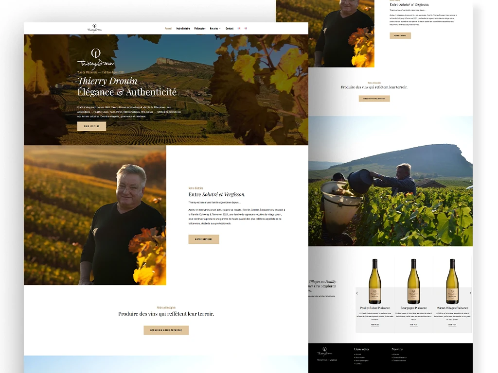 creation site vin thierry droin