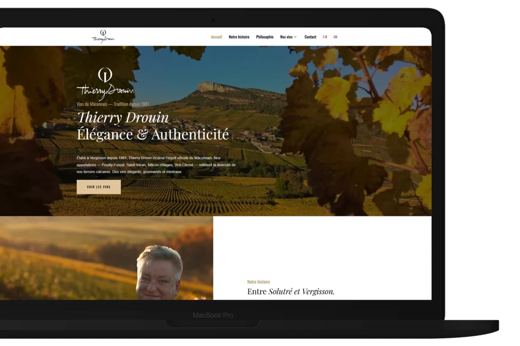 hero section site thierry droin