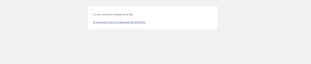 erreur critique site wordpress