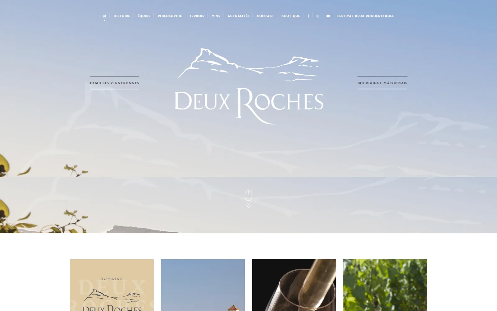 Création de site e-commerce pour un domaine viticole : ancien site avant