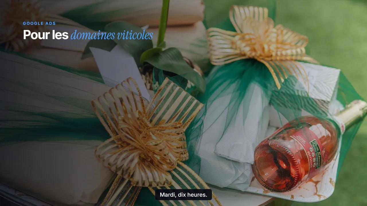Vidéo : Google Ads pour les domaines viticoles, par EVICO